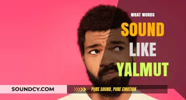 Unraveling the Mystery: Words That Echo the Unique Sound of Yalmut