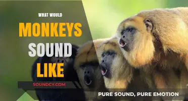 Unveiling the Unique Vocalizations: What Would Monkeys Sound Like?