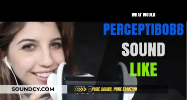 Exploring the Hypothetical Sounds of Perceptibobble: A Creative Auditory Journey