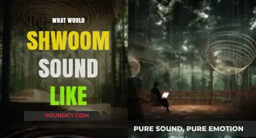 Exploring the Hypothetical Sonic Qualities of Shwoom: A Creative Sound Analysis