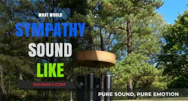 What Would Sympathy Sound Like: Exploring the Melody of Empathy