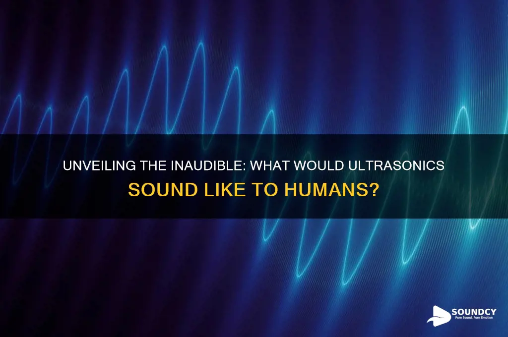 what would ultrasonics sound like