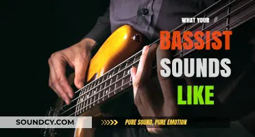 Decoding the Groove: What Your Bassist Sounds Like and Why It Matters