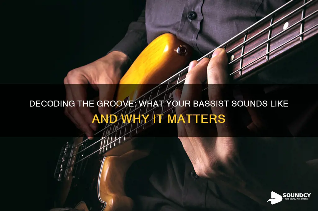 what your bassist sounds like