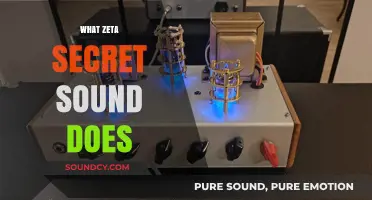Unveiling the Mystery: What Zeta Secret Sound Does and Its Impact