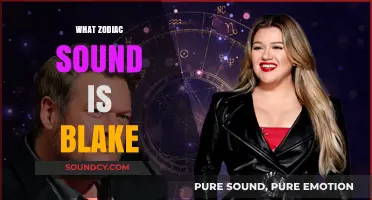 Blake's Zodiac Sound: Unveiling the Astrological Melody of a Star