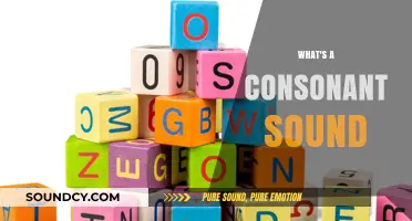 Understanding Consonant Sounds: A Comprehensive Guide to Speech Mechanics