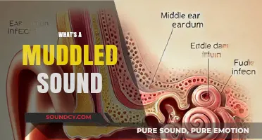 Understanding the Muddled Sound: Causes, Effects, and Solutions Explained