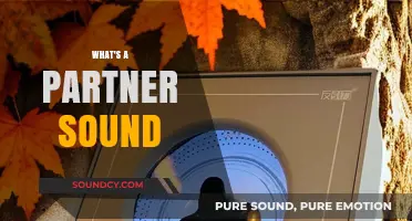 Understanding the Concept of a Partner Sound in Music and Beyond