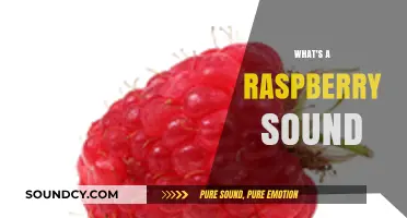 Unraveling the Mystery: What Does a Raspberry Sound Really Mean?
