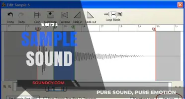 Understanding Sample Sounds: A Beginner's Guide to Audio Sampling