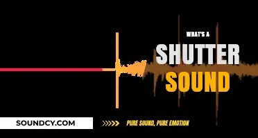 Understanding the Shutter Sound: What It Is and Why It Matters