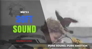 Exploring the Gentle World of Soft Sounds: A Comprehensive Guide