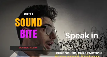 Understanding Sound Bites: Concise Phrases That Capture Attention Instantly