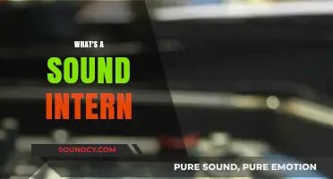 Unveiling the Role of a Sound Intern: Skills, Duties, and Opportunities