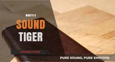 Unveiling the Mystery: What's a Sound Tiger and Why It Matters