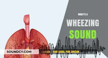Understanding Wheezing: Causes, Symptoms, and When to Seek Medical Help