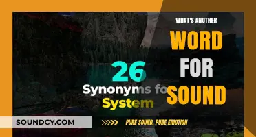 Exploring Synonyms: The Many Words for 'Sound