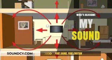 Uncover the Culprits: What's Blocking Your Sound and How to Fix It