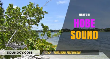 Discovering Hobe Sound: Hidden Gems, Nature, and Local Charm