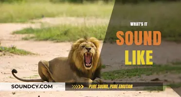 Exploring the Unique Soundscape: What's It Sound Like?