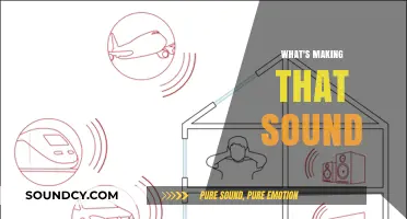 Unraveling the Mystery: What's Making That Sound in Your Home?