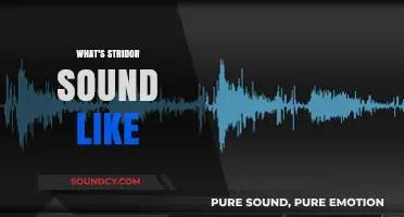 Understanding Stridor: What Does This Distinctive Breathing Sound Indicate?
