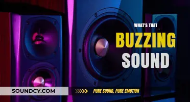 Unraveling the Mystery: What's That Buzzing Sound Around You?