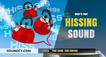 Unraveling the Mystery: What's That Hissing Sound in Your Home?