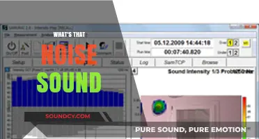 Unraveling the Mystery: What's That Noise Sound and How to Identify It