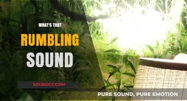 Unraveling the Mystery: What's That Rumbling Sound and Why It Matters