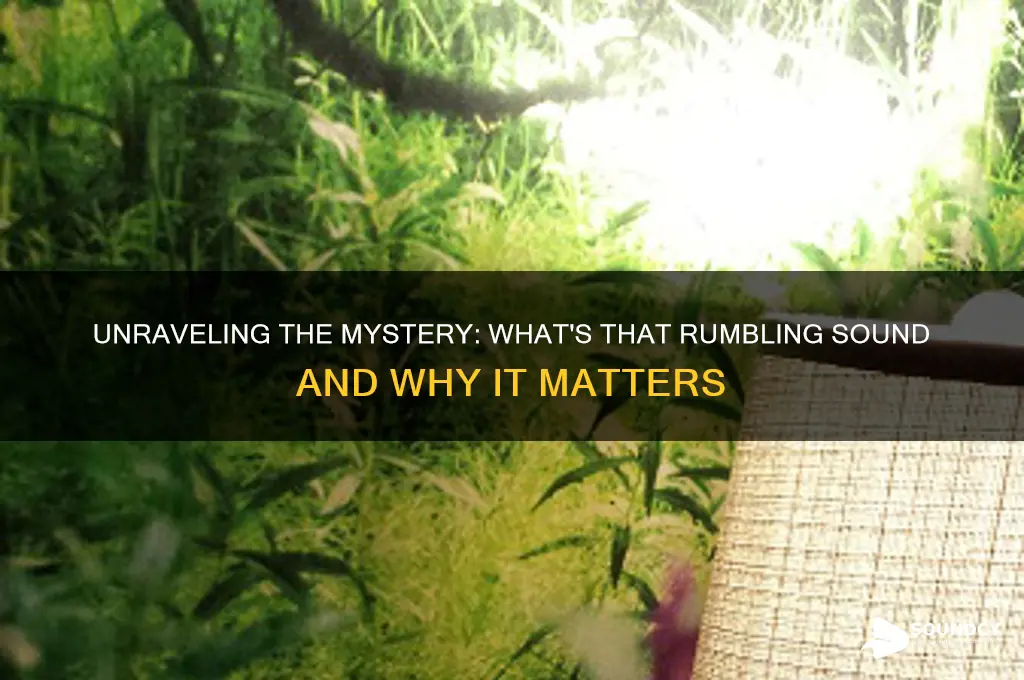 what
