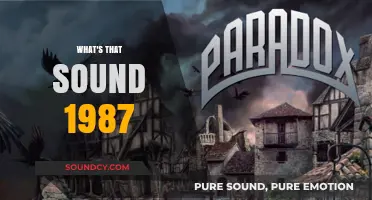 Unraveling the Mystery: What's That Sound from 1987 Explained