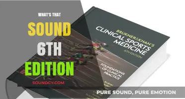 Sound Exploration: 'What's That Sound' 6th Edition