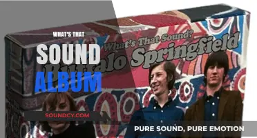 Exploring the Echoes: Unraveling the Mystery of 'What's That Sound' Album