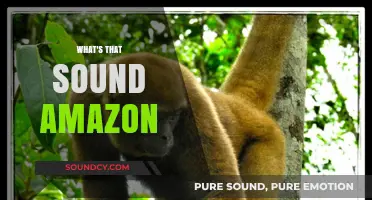 Unraveling the Mystery: What's That Sound on Amazon?