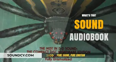 Unraveling the Mystery: What's That Sound in Your Audiobook?