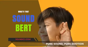 What's That Sound, Bert? Decoding Noises That Make Us Wonder