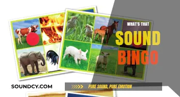 Unraveling the Mystery: What's That Sound Bingo Explained and Explored