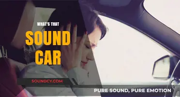 Unusual Car Noises: What's That Sound and Should You Worry?
