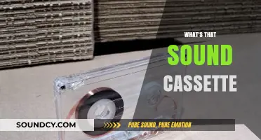 Unraveling the Mystery: What's That Sound on Your Cassette?
