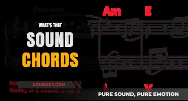 Unraveling the Mystery: What's That Sound Chords Explained Simply