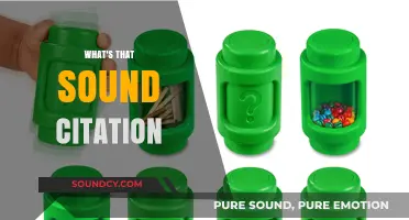 Unraveling the Mystery: What's That Sound Citation Explained