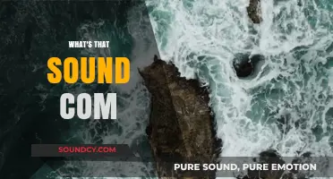Unraveling the Mystery: What's That Sound Coming From?