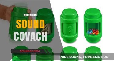 Unraveling the Mystery: What's That Sound Covach Explained