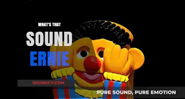 What's That Sound, Ernie? Unraveling the Mystery Behind the Noise