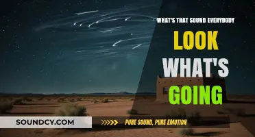 Unraveling the Mystery: What's That Sound Everyone's Talking About?
