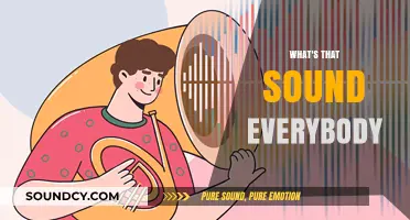 What's That Sound? Decoding Everyday Noises and Their Meanings