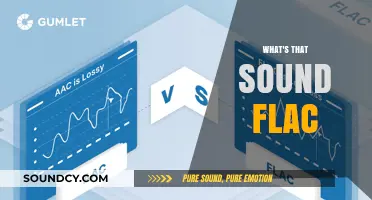 What's That Sound? Exploring the High-Fidelity World of FLAC Audio