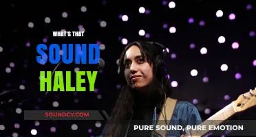 Unraveling the Mystery: What's That Sound, Haley? Exploring the Noise